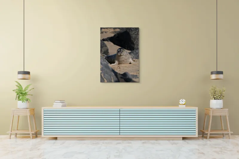 Tablou Canvas, "Foca odihnindu-se pe plajă liniștită", I don't know who this is., 70 x 100 cm – poza 5