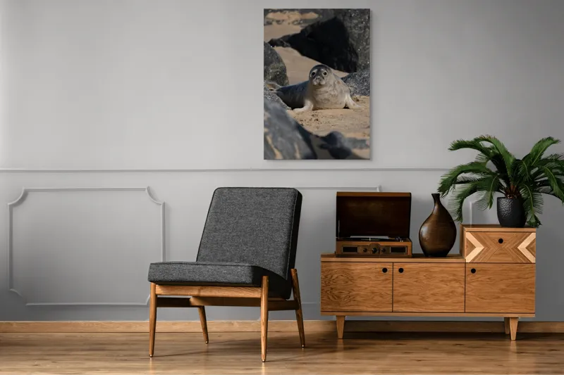 Tablou Canvas, "Foca odihnindu-se pe plajă liniștită", I don't know who this is., 70 x 100 cm – poza 6