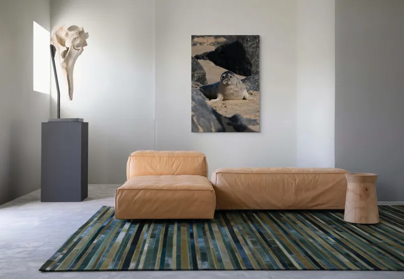 Tablou Canvas, "Foca odihnindu-se pe plajă liniștită", I don't know who this is., 70 x 100 cm – poza 7