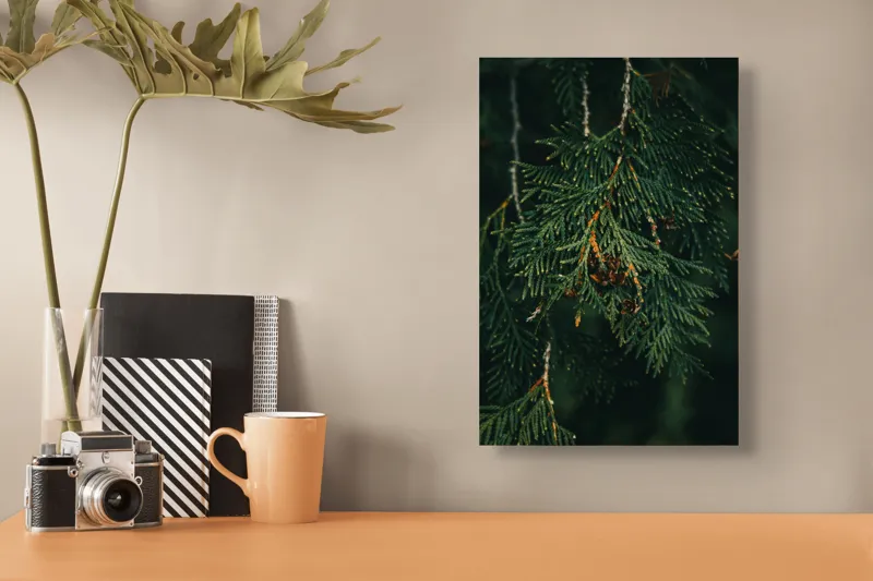 Tablou Canvas, "Ramuri de conifer în întuneric misterios", Veveriță, Ramuri, Verde, Frunziș, Textură, Natură, Detalii, Întunecat, Frunze, Pădure, Organic, Tonuri, 26 x 39 cm – poza 3