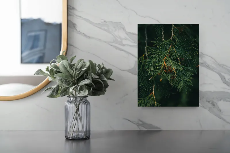 Tablou Canvas, "Ramuri de conifer în întuneric misterios", Veveriță, Ramuri, Verde, Frunziș, Textură, Natură, Detalii, Întunecat, Frunze, Pădure, Organic, Tonuri, 26 x 39 cm – poza 4