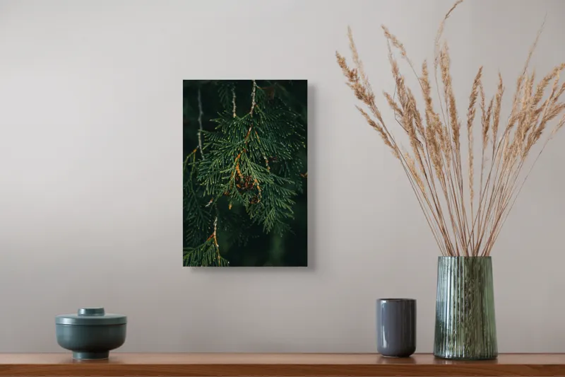 Tablou Canvas, "Ramuri de conifer în întuneric misterios", Veveriță, Ramuri, Verde, Frunziș, Textură, Natură, Detalii, Întunecat, Frunze, Pădure, Organic, Tonuri, 26 x 39 cm – poza 5