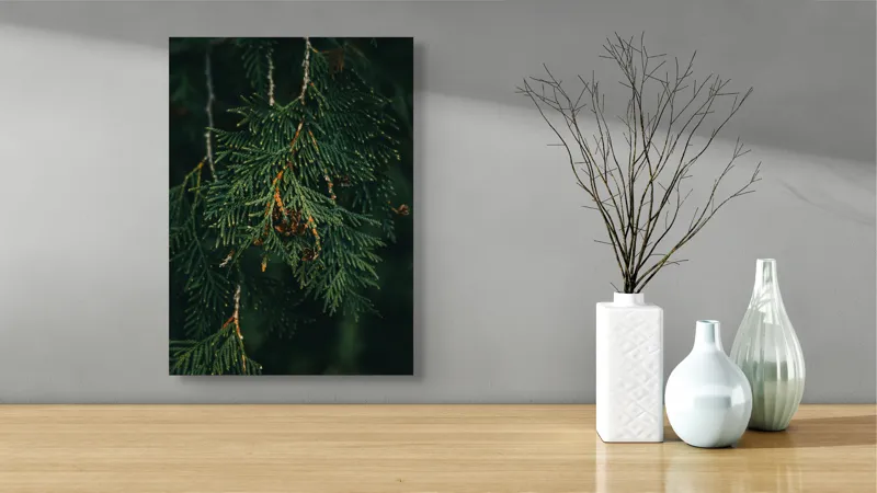 Tablou Canvas, "Ramuri de conifer în întuneric misterios", Veveriță, Ramuri, Verde, Frunziș, Textură, Natură, Detalii, Întunecat, Frunze, Pădure, Organic, Tonuri, 39 x 54 cm – poza 4