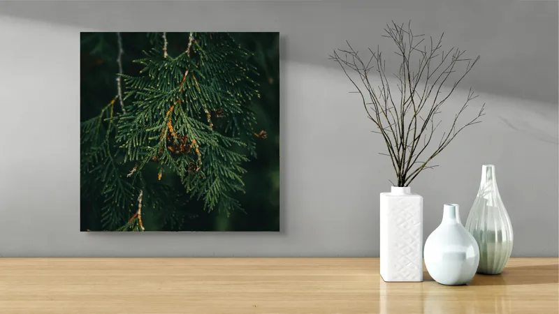 Tablou Canvas, "Ramuri de conifer în întuneric misterios", Veveriță, Ramuri, Verde, Frunziș, Textură, Natură, Detalii, Întunecat, Frunze, Pădure, Organic, Tonuri, 50 x 50 cm – poza 3