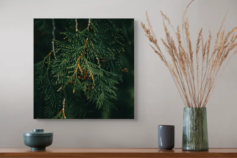 Tablou Canvas, "Ramuri de conifer în întuneric misterios", Veveriță, Ramuri, Verde, Frunziș, Textură, Natură, Detalii, Întunecat, Frunze, Pădure, Organic, Tonuri, 50 x 50 cm – poza 4