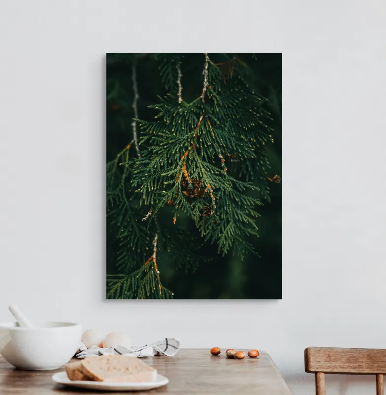 Tablou Canvas, "Ramuri de conifer în întuneric misterios", Veveriță, Ramuri, Verde, Frunziș, Textură, Natură, Detalii, Întunecat, Frunze, Pădure, Organic, Tonuri, 50 x 70 cm – poza 3