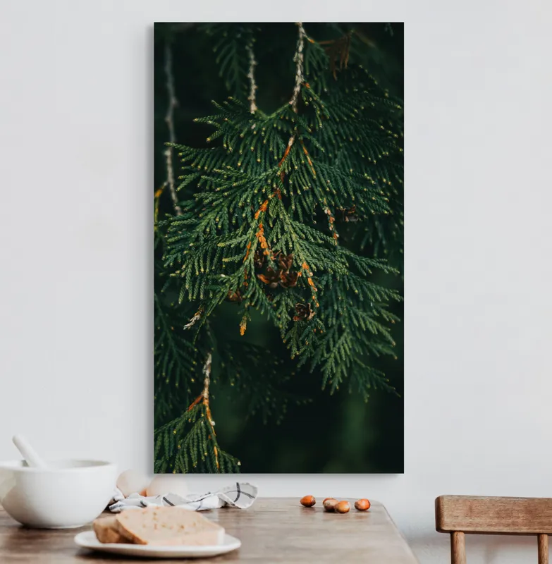 Tablou Canvas, "Ramuri de conifer în întuneric misterios", Veveriță, Ramuri, Verde, Frunziș, Textură, Natură, Detalii, Întunecat, Frunze, Pădure, Organic, Tonuri, 50 x 90 cm – poza 3
