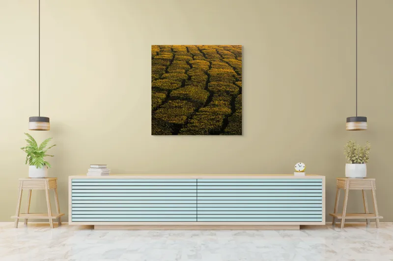 Tablou Canvas, "Câmp galben al dimineții liniștite", Câmp, Verde, Rânduri, Textură, Apus, Natură, Lumină, Simetrie, Vegetație, Culturi, 100 x 100 cm – poza 5
