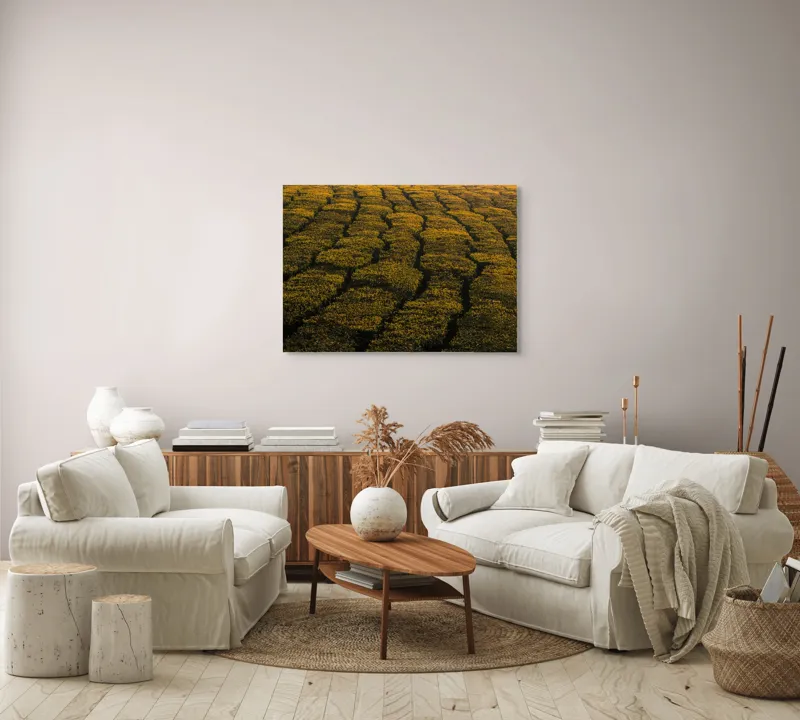 Tablou Canvas, "Câmp galben al dimineții liniștite", Câmp, Verde, Rânduri, Textură, Apus, Natură, Lumină, Simetrie, Vegetație, Culturi, 100 x 70 cm – poza 3