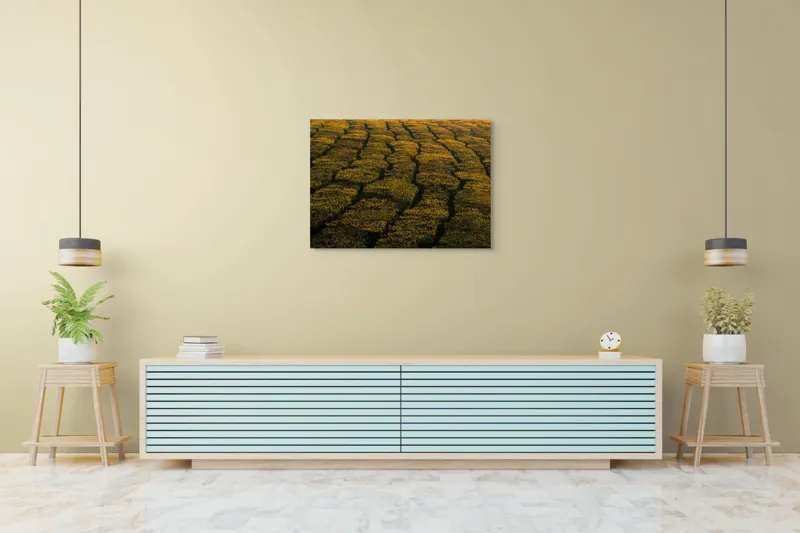 Tablou Canvas, "Câmp galben al dimineții liniștite", Câmp, Verde, Rânduri, Textură, Apus, Natură, Lumină, Simetrie, Vegetație, Culturi, 100 x 70 cm – poza 4