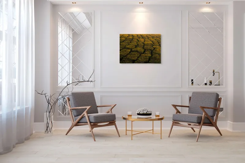 Tablou Canvas, "Câmp galben al dimineții liniștite", Câmp, Verde, Rânduri, Textură, Apus, Natură, Lumină, Simetrie, Vegetație, Culturi, 100 x 70 cm – poza 5