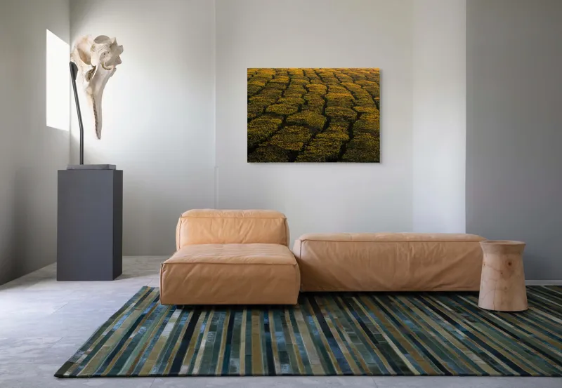 Tablou Canvas, "Câmp galben al dimineții liniștite", Câmp, Verde, Rânduri, Textură, Apus, Natură, Lumină, Simetrie, Vegetație, Culturi, 100 x 70 cm – poza 7