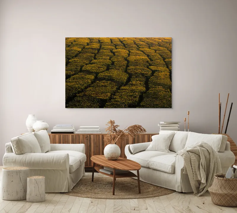 Tablou Canvas, "Câmp galben al dimineții liniștite", Câmp, Verde, Rânduri, Textură, Apus, Natură, Lumină, Simetrie, Vegetație, Culturi, 150 x 100 cm – poza 3