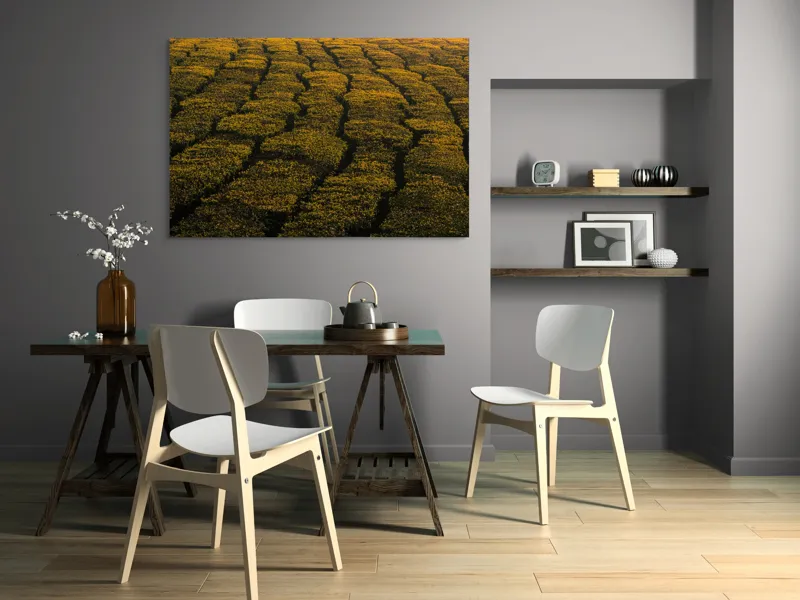 Tablou Canvas, "Câmp galben al dimineții liniștite", Câmp, Verde, Rânduri, Textură, Apus, Natură, Lumină, Simetrie, Vegetație, Culturi, 150 x 100 cm – poza 5