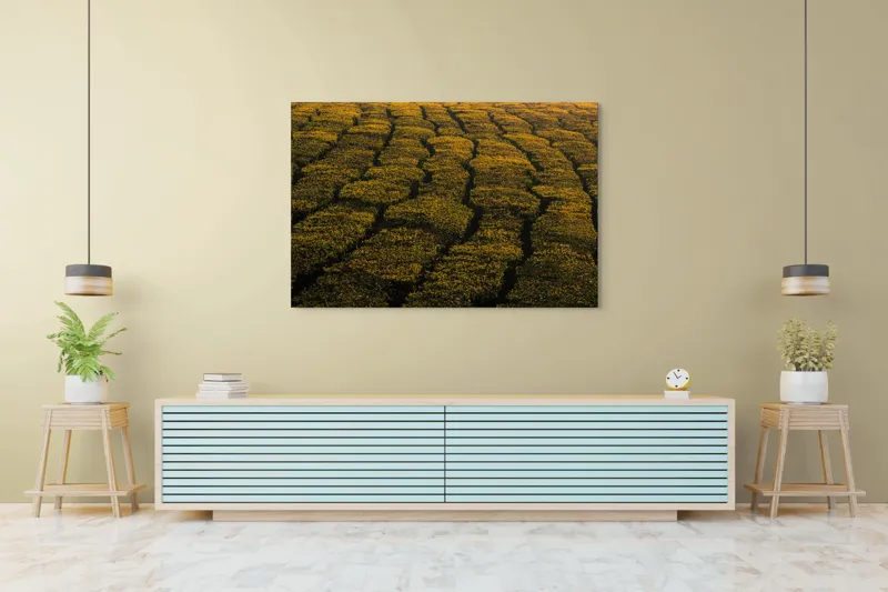 Tablou Canvas, "Câmp galben al dimineții liniștite", Câmp, Verde, Rânduri, Textură, Apus, Natură, Lumină, Simetrie, Vegetație, Culturi, 150 x 100 cm – poza 6