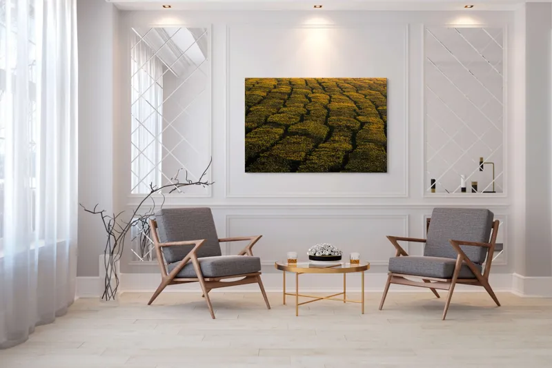 Tablou Canvas, "Câmp galben al dimineții liniștite", Câmp, Verde, Rânduri, Textură, Apus, Natură, Lumină, Simetrie, Vegetație, Culturi, 150 x 100 cm – poza 7