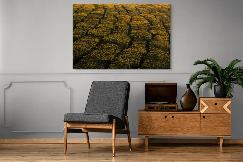 Tablou Canvas, "Câmp galben al dimineții liniștite", Câmp, Verde, Rânduri, Textură, Apus, Natură, Lumină, Simetrie, Vegetație, Culturi, 150 x 100 cm – poza 8