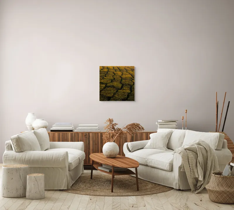 Tablou Canvas, "Câmp galben al dimineții liniștite", Câmp, Verde, Rânduri, Textură, Apus, Natură, Lumină, Simetrie, Vegetație, Culturi, 50 x 50 cm – poza 7