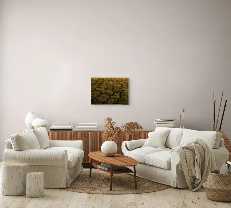 Tablou Canvas, "Câmp galben al dimineții liniștite", Câmp, Verde, Rânduri, Textură, Apus, Natură, Lumină, Simetrie, Vegetație, Culturi, 54 x 39 cm – poza 5
