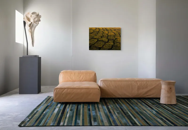 Tablou Canvas, "Câmp galben al dimineții liniștite", Câmp, Verde, Rânduri, Textură, Apus, Natură, Lumină, Simetrie, Vegetație, Culturi, 70 x 50 cm – poza 8