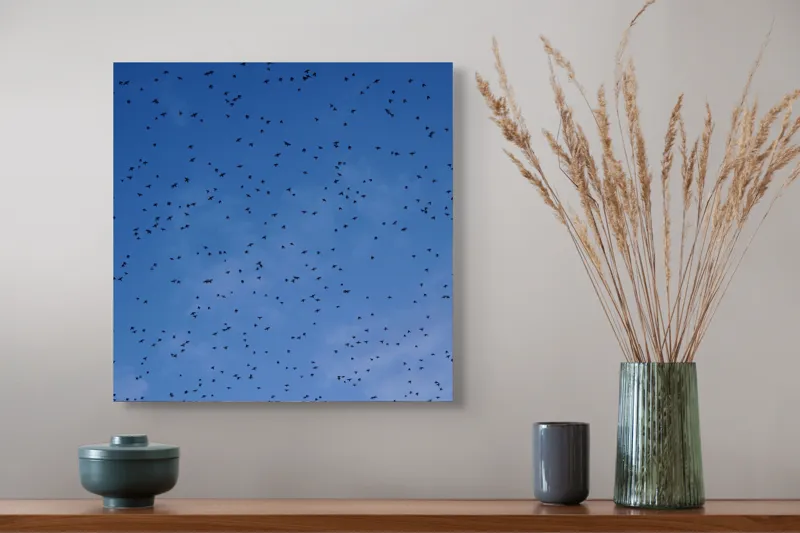 Tablou Canvas, "Dansul graurilor pe cerul albastru", Păsări, Zbor, Cer, Albastru, Mulțime, Vedere, Întindere, 50 x 50 cm – poza 4