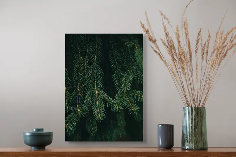 Tablou Canvas, "Misterul Crengilor de Brad Verde", Verde, Ace, Brad, Natural, Textură, Frumusețe, Pădure, Serenitate, 39 x 54 cm – poza 3