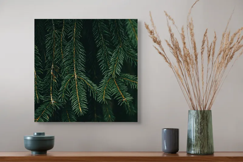 Tablou Canvas, "Misterul Crengilor de Brad Verde", Verde, Ace, Brad, Natural, Textură, Frumusețe, Pădure, Serenitate, 50 x 50 cm – poza 4
