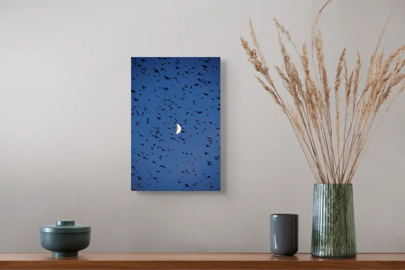 Tablou Canvas, "Dansul păsărilor sub clar de lună", Lună, Păsări, Cer, Zbor, Noapte, 26 x 39 cm – poza 5