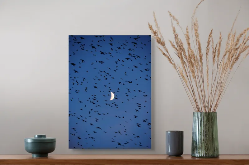 Tablou Canvas, "Dansul păsărilor sub clar de lună", Lună, Păsări, Cer, Zbor, Noapte, 39 x 54 cm – poza 3