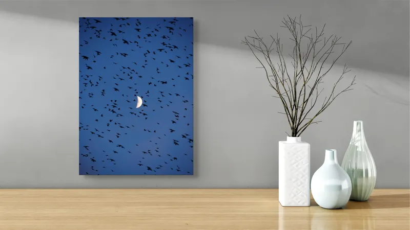 Tablou Canvas, "Dansul păsărilor sub clar de lună", Lună, Păsări, Cer, Zbor, Noapte, 39 x 54 cm – poza 4