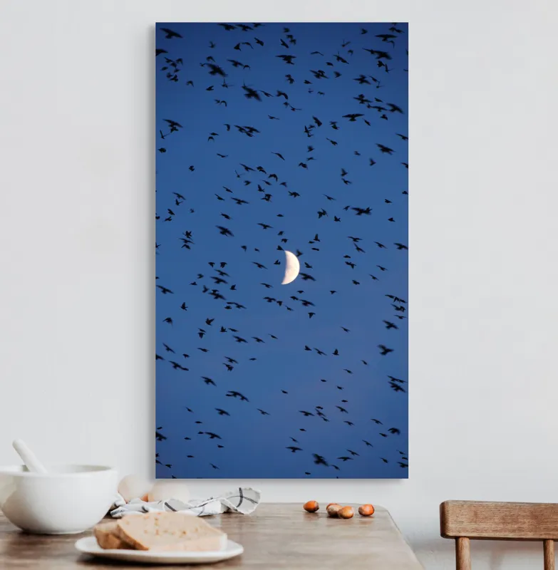 Tablou Canvas, "Dansul păsărilor sub clar de lună", Lună, Păsări, Cer, Zbor, Noapte, 50 x 90 cm – poza 3