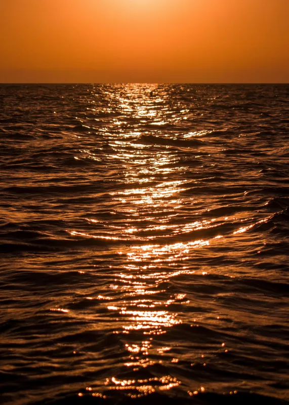 Tablou Canvas, "Orizontul liniștit la apus de soare", Apus, Ocean, Reflexii, Lumină, Aurie, Valuri, Cer, Păcii, 50 x 70 cm – poza 2