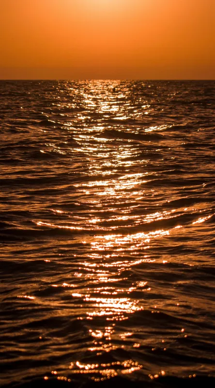 Tablou Canvas, "Orizontul liniștit la apus de soare", Apus, Ocean, Reflexii, Lumină, Aurie, Valuri, Cer, Păcii, 50 x 90 cm – poza 2