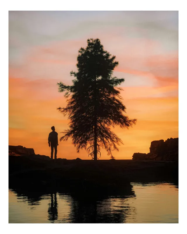 Tablou Canvas, "Singurătate sub cerul înserării", Silhouette, Tree, Sunset, Reflection, Sky, Solitude, Tranquility, 50 x 90 cm