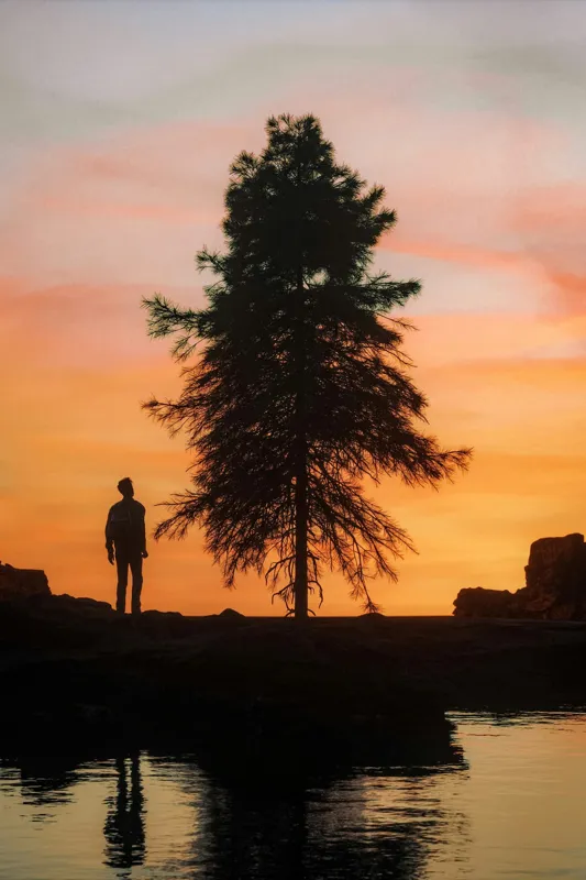 Tablou Canvas, "Singurătate sub cerul înserării", Silhouette, Tree, Sunset, Reflection, Sky, Solitude, Tranquility, 100 x 150 cm – poza 2