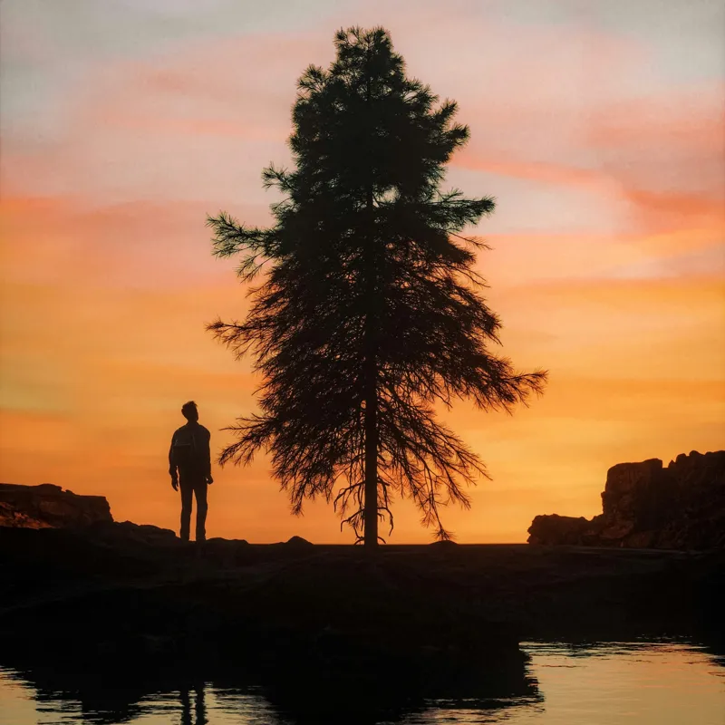 Tablou Canvas, "Singurătate sub cerul înserării", Silhouette, Tree, Sunset, Reflection, Sky, Solitude, Tranquility, 50 x 50 cm – poza 2