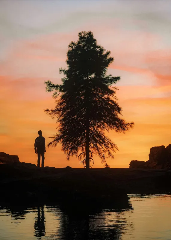 Tablou Canvas, "Singurătate sub cerul înserării", Silhouette, Tree, Sunset, Reflection, Sky, Solitude, Tranquility, 50 x 70 cm – poza 2