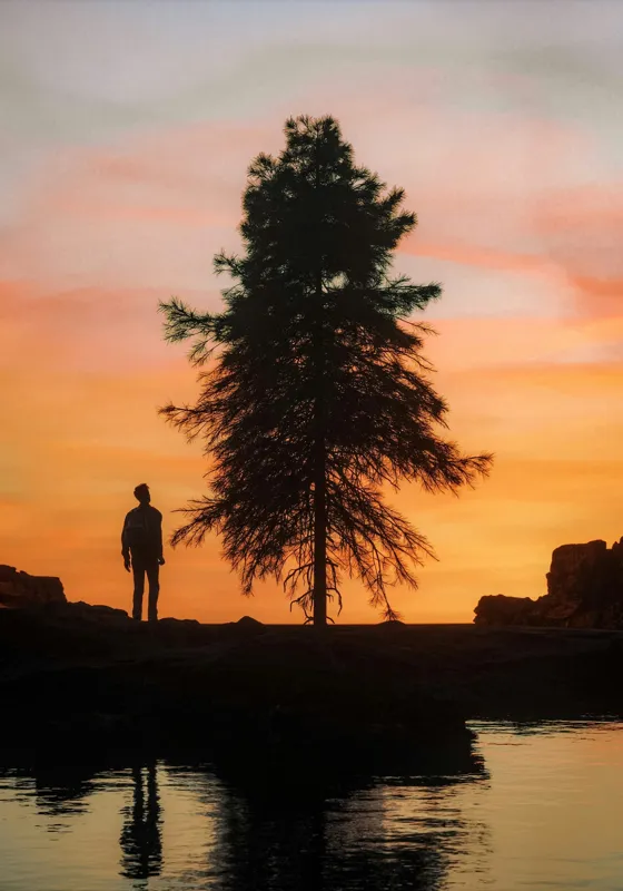 Tablou Canvas, "Singurătate sub cerul înserării", Silhouette, Tree, Sunset, Reflection, Sky, Solitude, Tranquility, 70 x 100 cm – poza 2