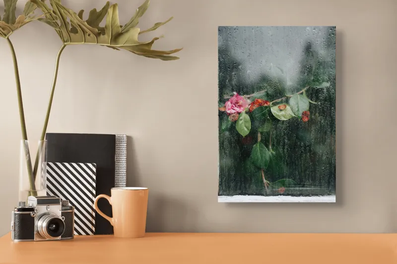 Tablou Canvas, "Flori ofilite după ploaie rece", Plante, Flori, Geam, Picături, Verdeață, Roua, Rece, Natură, Umiditate, Textură, 26 x 39 cm – poza 3