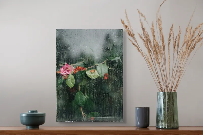Tablou Canvas, "Flori ofilite după ploaie rece", Plante, Flori, Geam, Picături, Verdeață, Roua, Rece, Natură, Umiditate, Textură, 39 x 54 cm – poza 3
