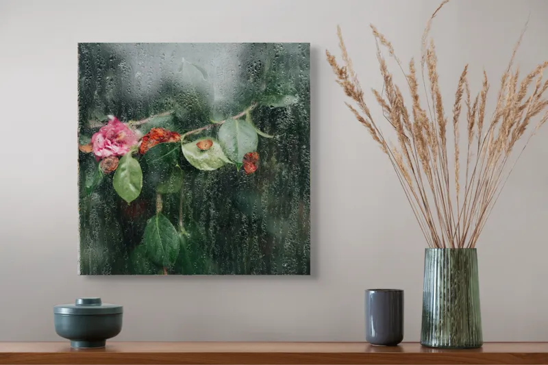 Tablou Canvas, "Flori ofilite după ploaie rece", Plante, Flori, Geam, Picături, Verdeață, Roua, Rece, Natură, Umiditate, Textură, 50 x 50 cm – poza 4