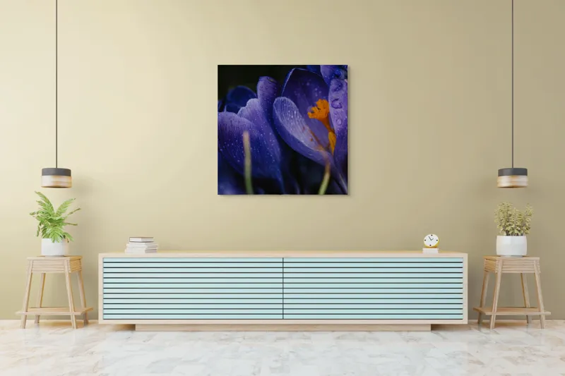 Tablou Canvas, "Petale violet mângâiate de ploaie", Picături, Petale, Violet, Stamine, Frumusețe, Natură, 100 x 100 cm – poza 5