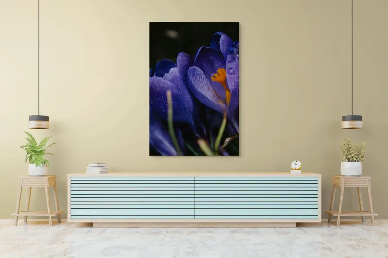 Tablou Canvas, "Petale violet mângâiate de ploaie", Picături, Petale, Violet, Stamine, Frumusețe, Natură, 100 x 150 cm – poza 4