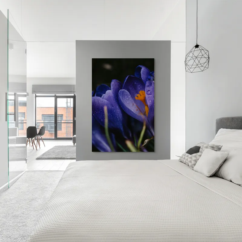 Tablou Canvas, "Petale violet mângâiate de ploaie", Picături, Petale, Violet, Stamine, Frumusețe, Natură, 100 x 150 cm – poza 5
