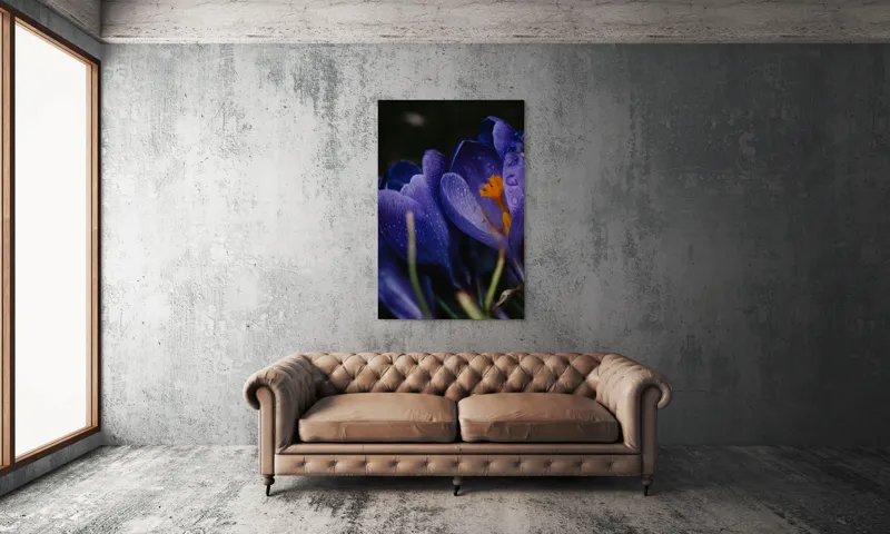Tablou Canvas, "Petale violet mângâiate de ploaie", Picături, Petale, Violet, Stamine, Frumusețe, Natură, 100 x 150 cm – poza 6