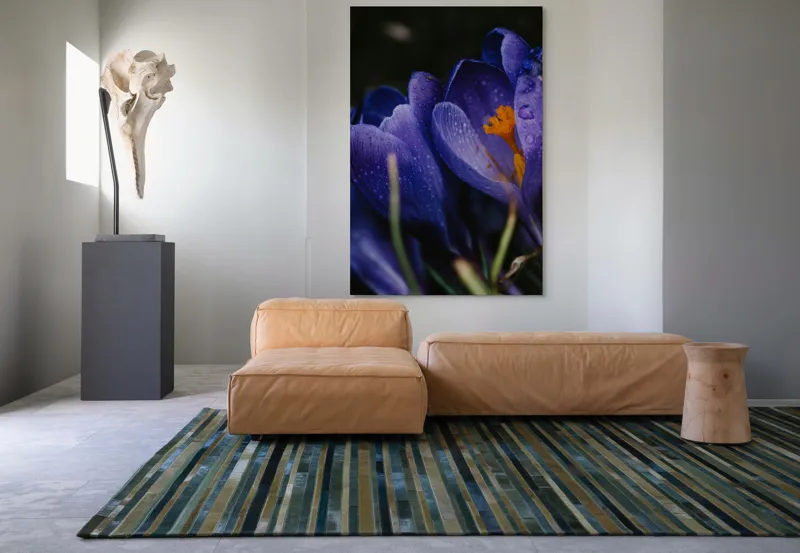 Tablou Canvas, "Petale violet mângâiate de ploaie", Picături, Petale, Violet, Stamine, Frumusețe, Natură, 100 x 150 cm – poza 7