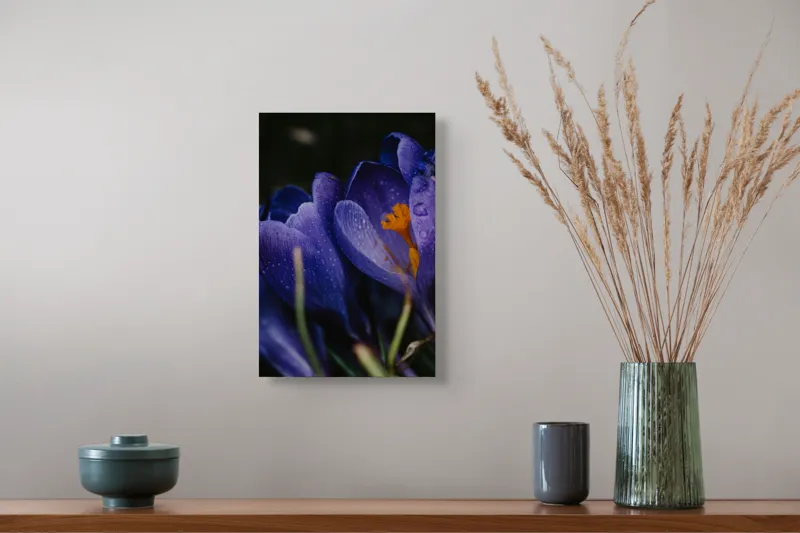 Tablou Canvas, "Petale violet mângâiate de ploaie", Picături, Petale, Violet, Stamine, Frumusețe, Natură, 26 x 39 cm – poza 5