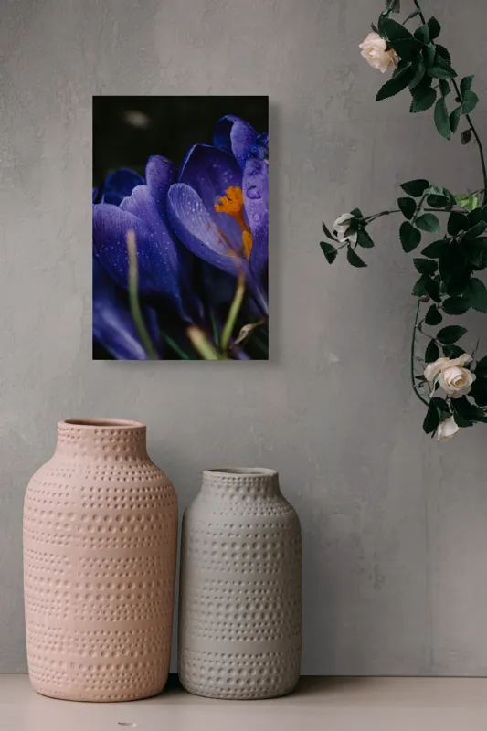 Tablou Canvas, "Petale violet mângâiate de ploaie", Picături, Petale, Violet, Stamine, Frumusețe, Natură, 26 x 39 cm – poza 6