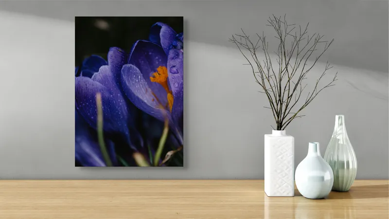 Tablou Canvas, "Petale violet mângâiate de ploaie", Picături, Petale, Violet, Stamine, Frumusețe, Natură, 39 x 54 cm – poza 4