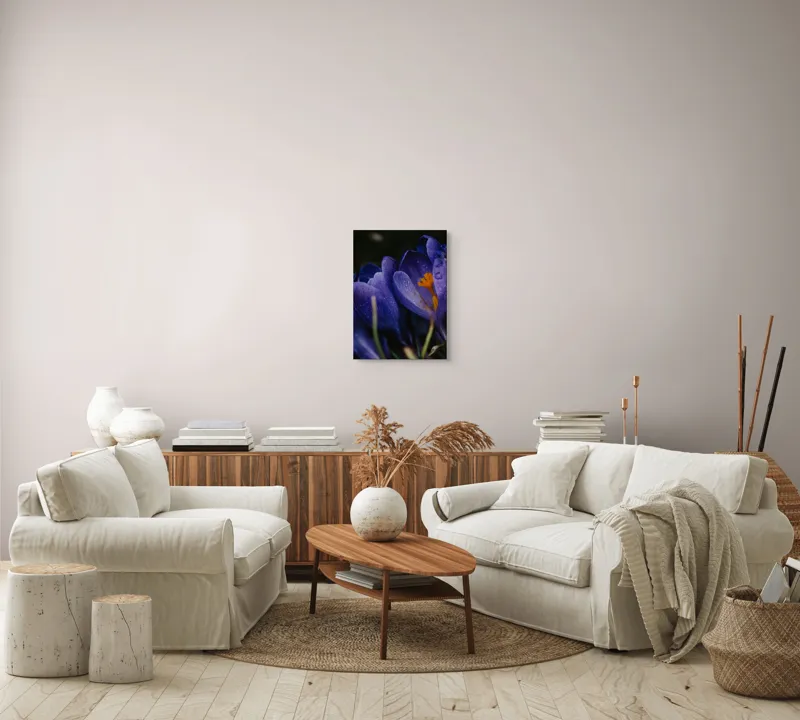 Tablou Canvas, "Petale violet mângâiate de ploaie", Picături, Petale, Violet, Stamine, Frumusețe, Natură, 39 x 54 cm – poza 5